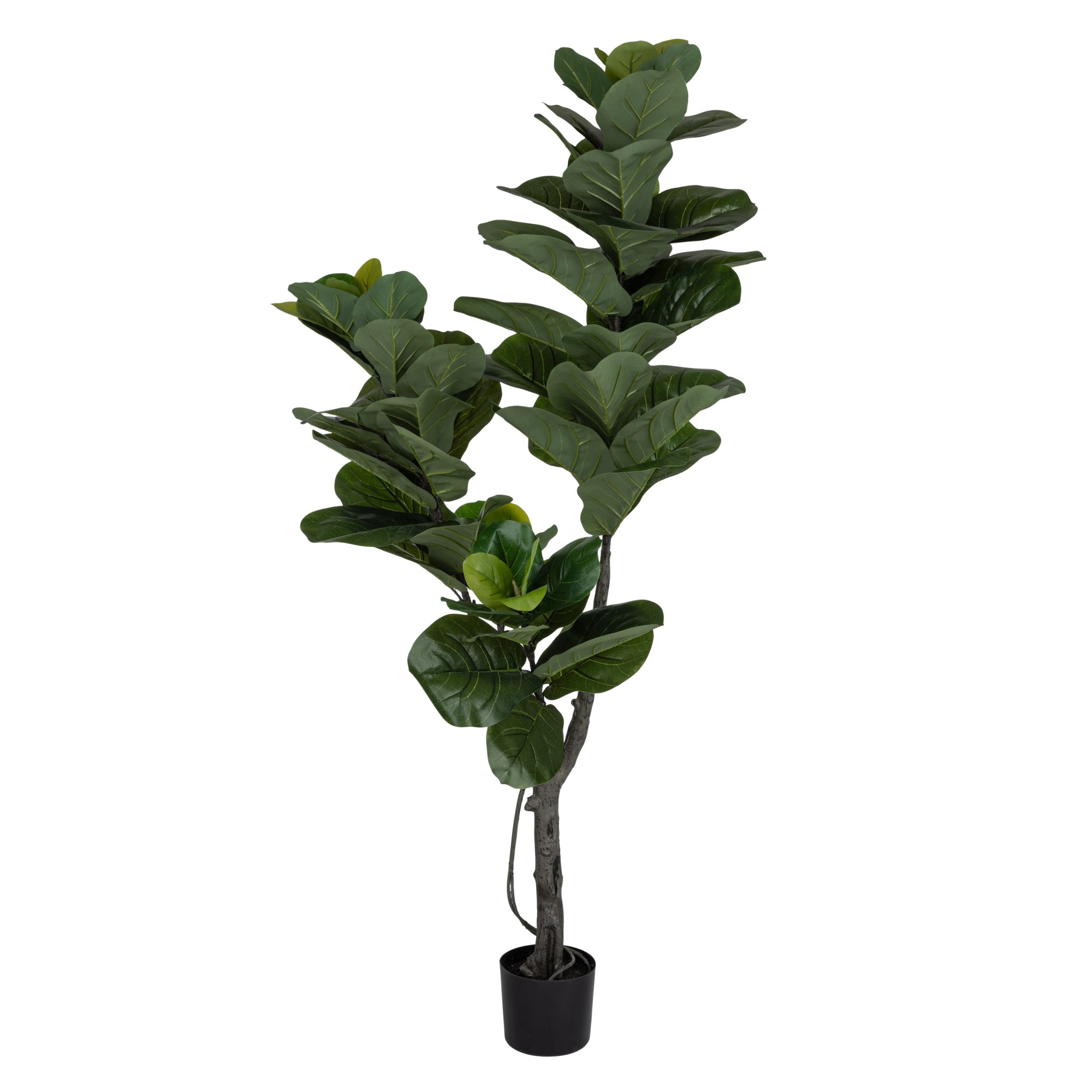 Verdola Real Touch 180 cm lyyraviikuna tekokasvi