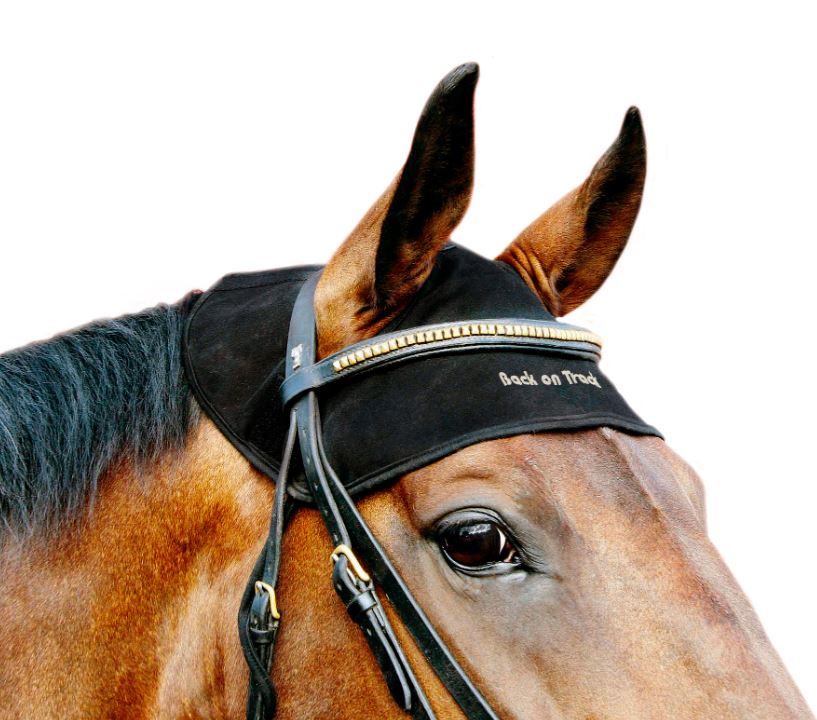 Back on Track hevosen niskasuoja