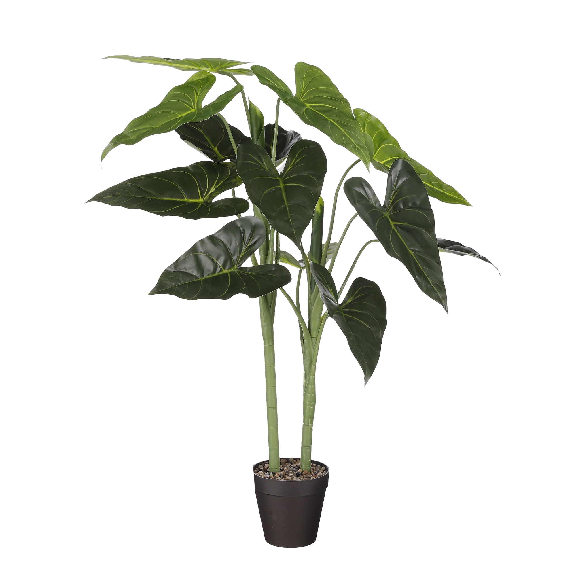 Mica 100x50cm alocasia silkkikukka