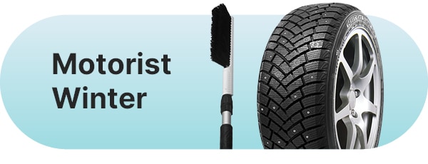 Motorist Winter