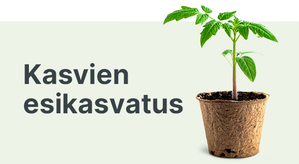 Kasvien esikasvatus