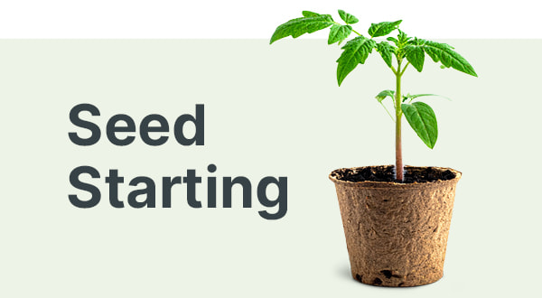 Seed Starting