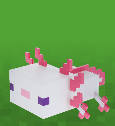 Minecraft Products