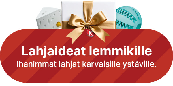 Joululahjaideat lemmikille