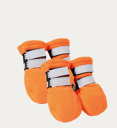 Koiran vaatteet ja asusteet