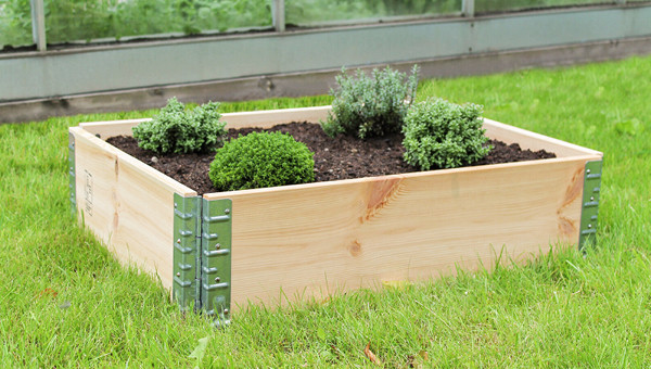 Lavakaulus