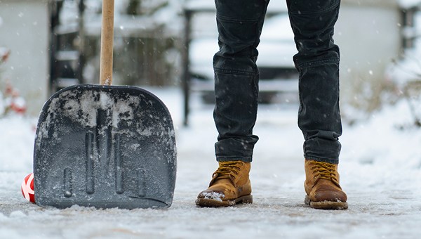 Piha ja Puutarha tarjoukset