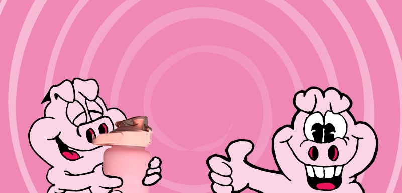 Katso kaikki Kärkkäisen Sikapäivä-tarjoukset!